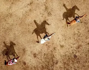 Stockmen de Nouvelle-Calédonie Stockmen de Nouivelle-Calédonie