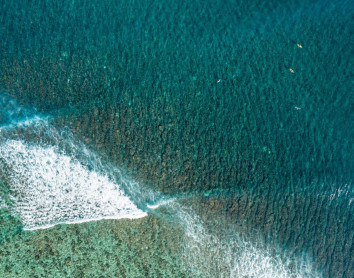 Surf Ocean
