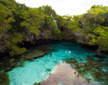 Aquarium naturel de Maré turquoise verdure  nature