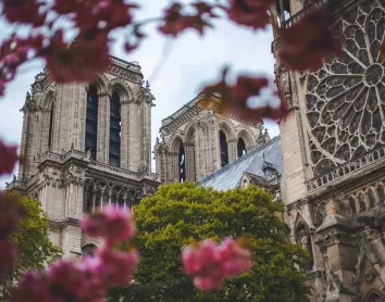 Cathédrale-Notre_Dame Paris Fleures Arbres