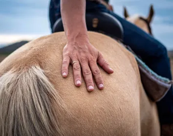 Equitation Equitation